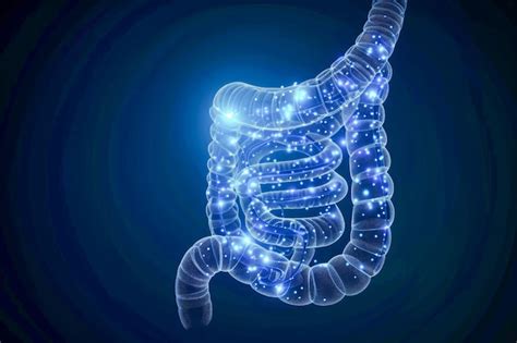 Happy Tummy Capsules